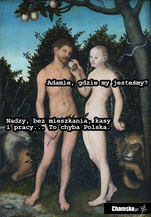 Bo to Polska właśnie