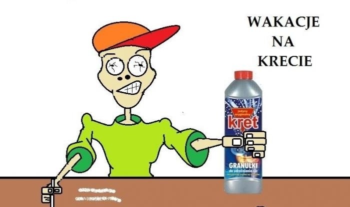 Krecik