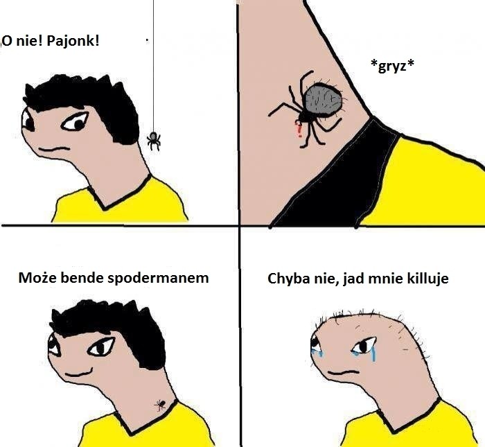 Spider