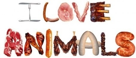I love animals