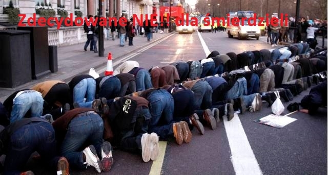 STOP islamizacji!!!