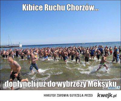 Kibice Ruchu Chorzów