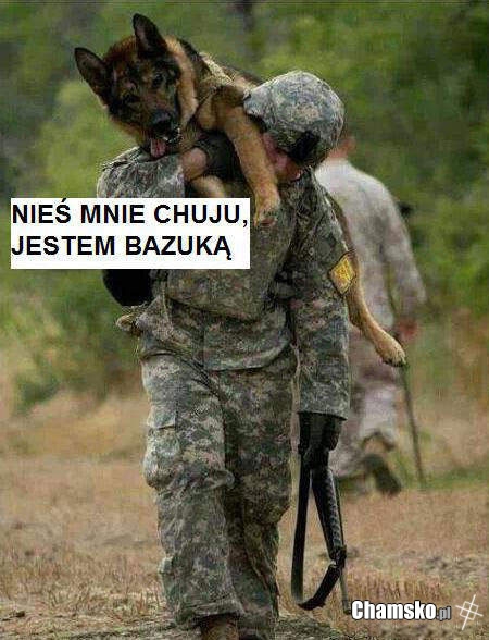 Nieś mnie!