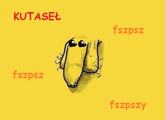 Kutaseł