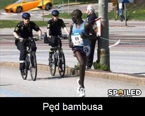 P?d bambusa