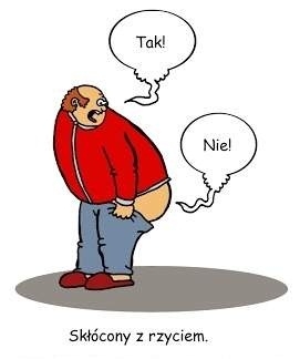Typowy Kowalski
