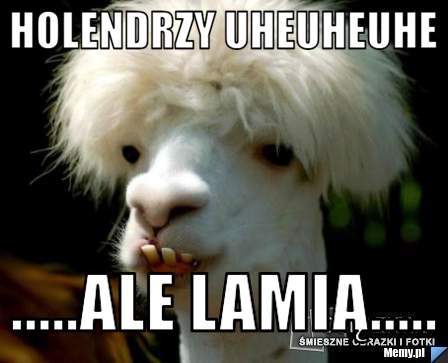 Holendrzy