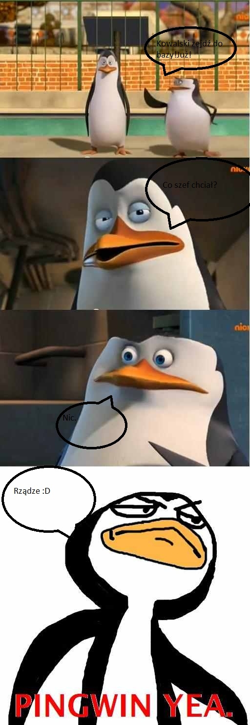 Co chcesz