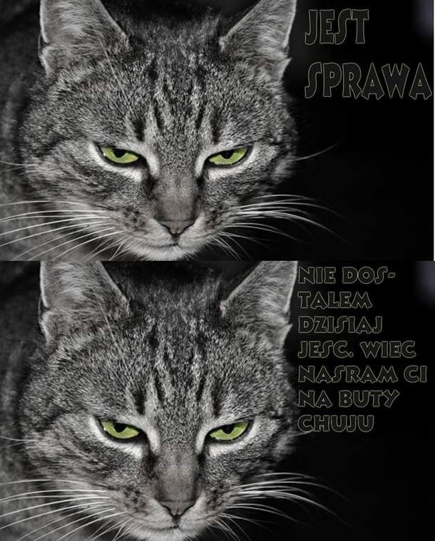 Jest sprawa