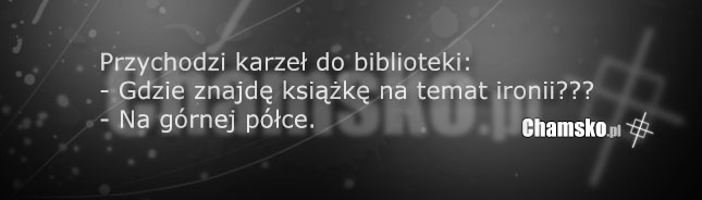 Karzeł w bibliotece