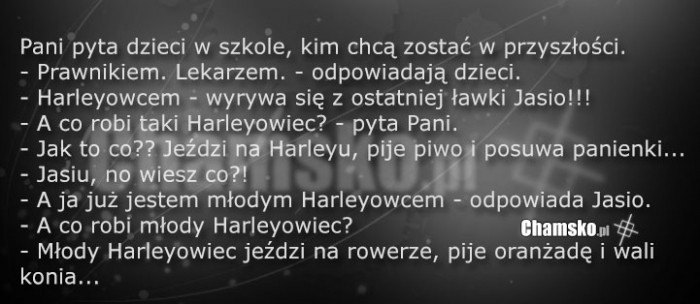 Harleyowiec