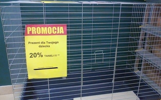 Prezent dla dziecka