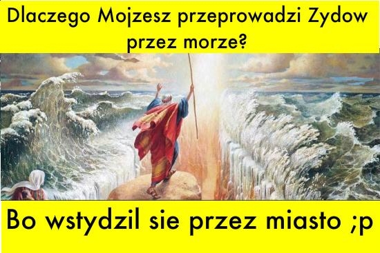 Moj?esz