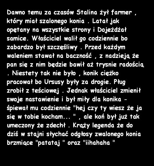 Szalony Koń