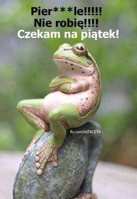 Czekam