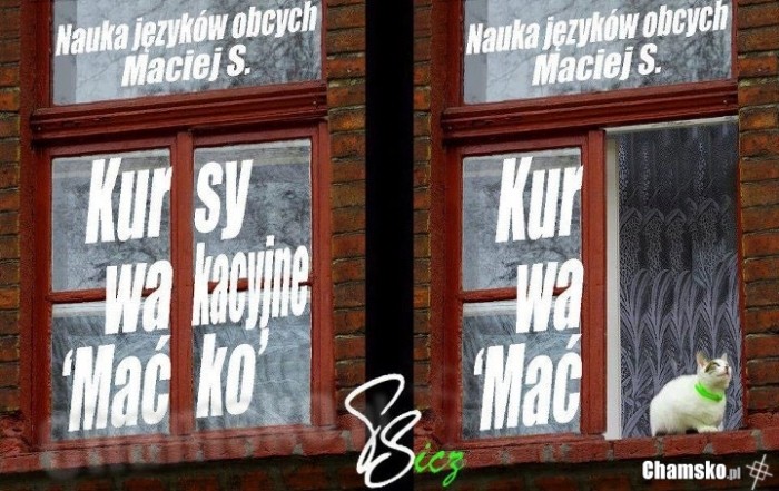 Kursy Wakacyjne