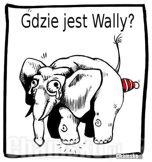 Gdzie jest Wally?