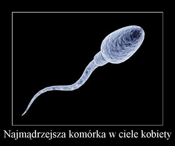 Najm?drzejsza komórka