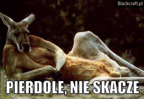 Nie skacze