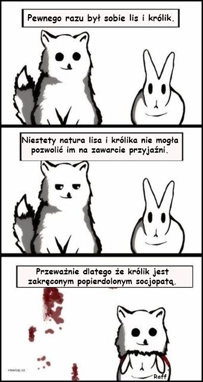 Lis i królik