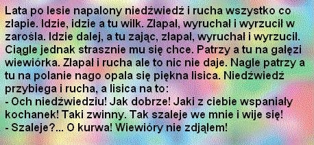 napalony niedźwiedź