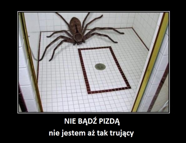 Nie bądź pizda