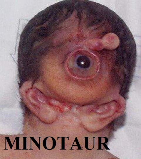 Minotaur