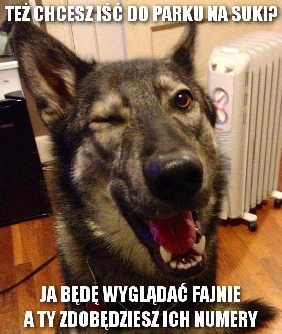 Spacer w parku
