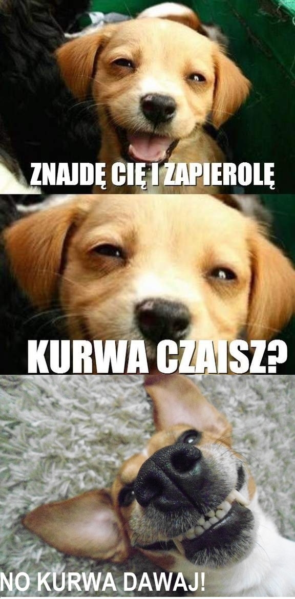 Riposta