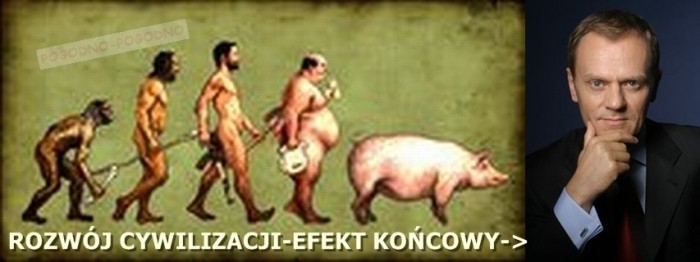 ROZWÓJ.....