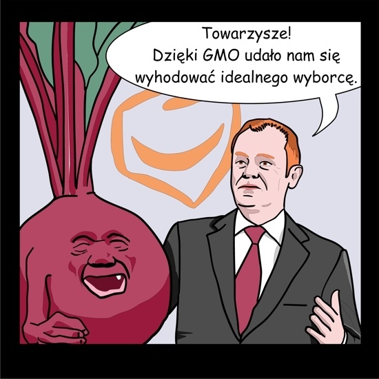 Idealny wyborca
