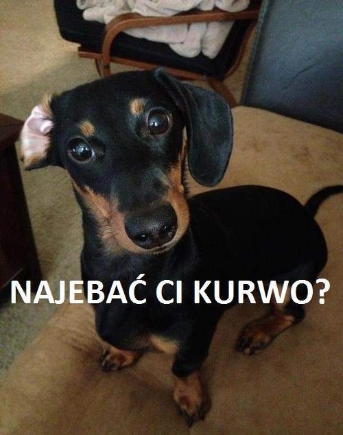 Najebać