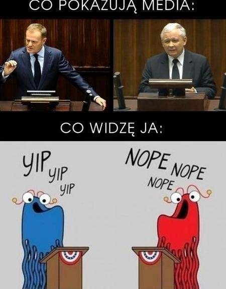 Sejm