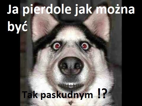 Paskuda