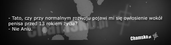 W?osy