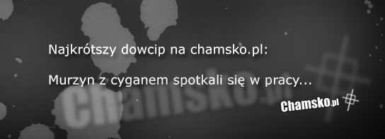 Najkrótszy dowcip na chamsko.pl