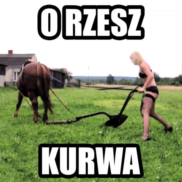 O Rzesz!