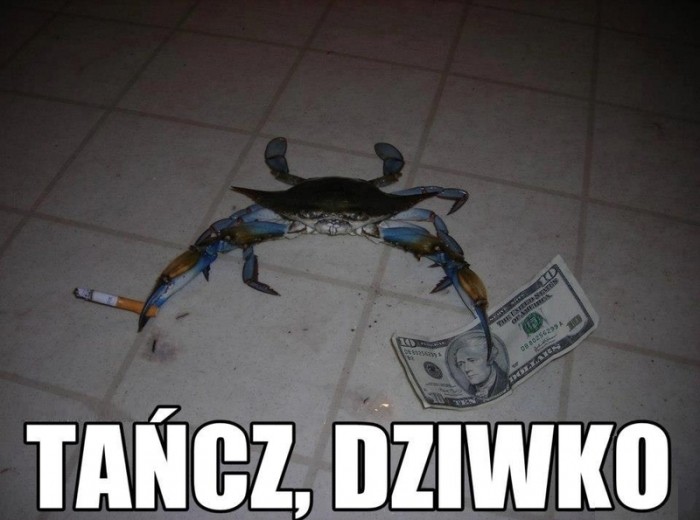 Tańcz