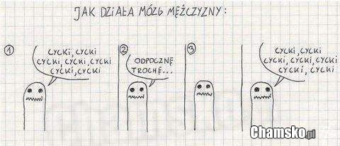 Jak dzia?a mózg m??cznyzny?
