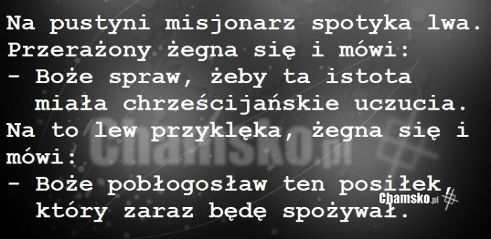 Tymczasem na pustyni