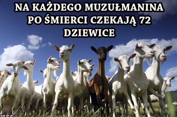 Tym to dobrze