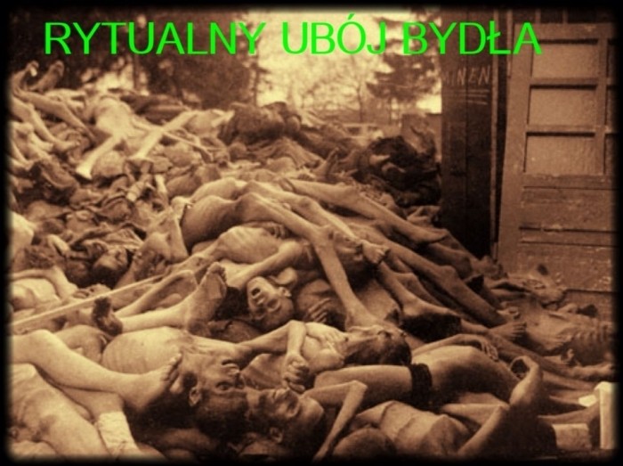 rytualny ubój bydła