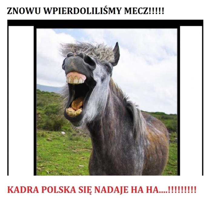 POLSKA KADRA