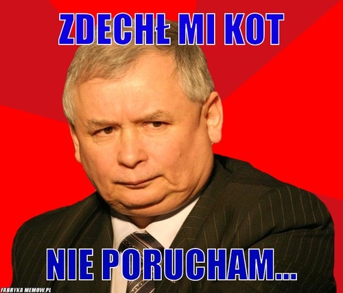 zech? mi kot