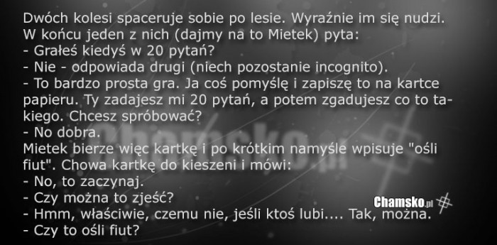 Zgadywanka