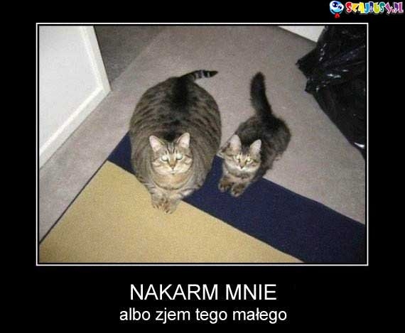 nakarm mnie