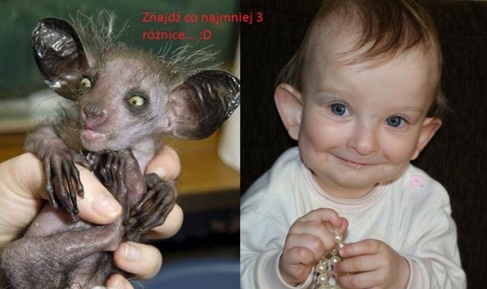 Potrafisz? :D