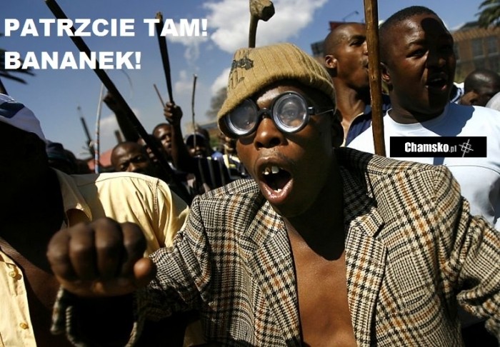 Hipsterek Bambo