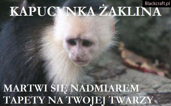 Kapucyna Żaklina