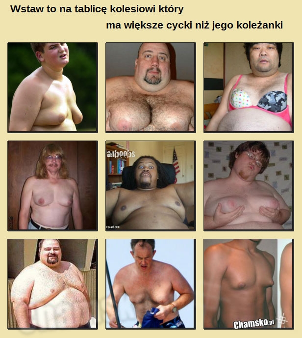 Cycki
